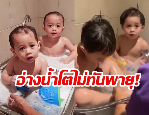 “น้องสายฟ้า - น้องพายุ” หลังเห็นน้องแฝด “เล่นน้ำในอ่าง” ชาวเน็ตแซว! “อ่างน้ำ..โตไม่ทันพี่พา”