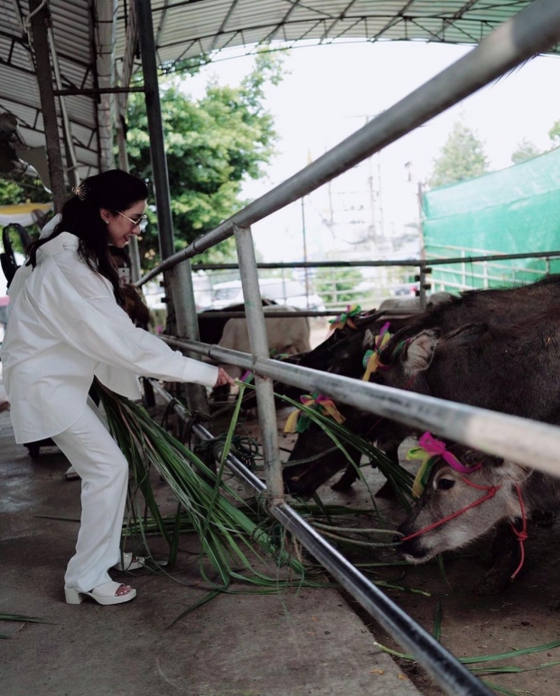  ไอซ์ อภิษฎา ทำบุญใหญ่รับวันเกิดวัย 36 ปี ไถ่ชีวิตโค-กระบือ 