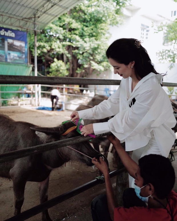  ไอซ์ อภิษฎา ทำบุญใหญ่รับวันเกิดวัย 36 ปี ไถ่ชีวิตโค-กระบือ 