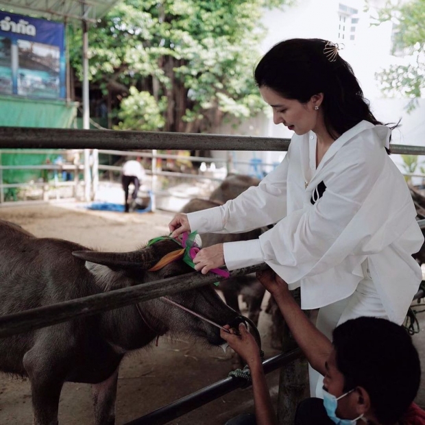  ไอซ์ อภิษฎา ทำบุญใหญ่รับวันเกิดวัย 36 ปี ไถ่ชีวิตโค-กระบือ 