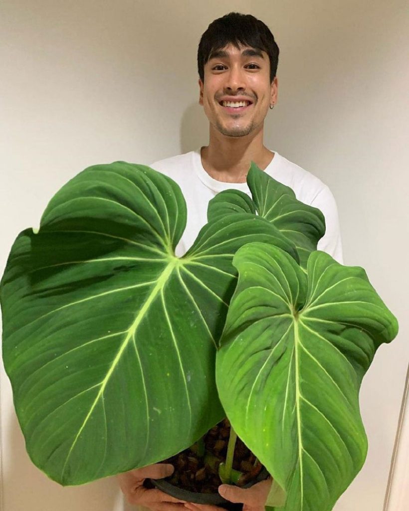   ณเดชน์สุดภูมิใจบ้านใหม่ใกล้เสร็จแล้ว หลังใหญ่อลังการอากาศดีเว่อร์