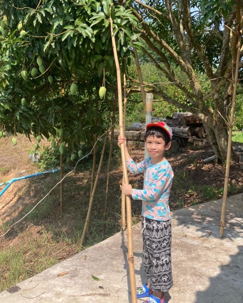 ส่องชีวิตติดดิน ลูกชายดาราดัง แม้คุณพ่อขึ้นแท่นเศรษฐีสวนทุเรียน