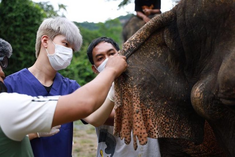 เปิดวาร์ปสัตวเเพทย์สุดฮ็อต ที่ตอนนี้เลื่อนขั้นเป็นพระเอกช่องวัน31เต็มตัว