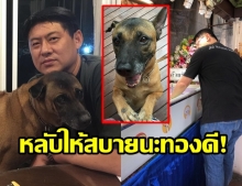 สรยุทธ เศร้า สูญเสียทองดีสุนัขแสนรัก สุดผูกพันเลี้ยงมาตั้งแต่เล็ก