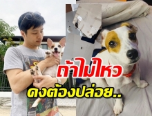 “ตี๋” ร่ายยาวตัดพ้อ “นามิ” สุนัขที่รัก พังบ้านเละ