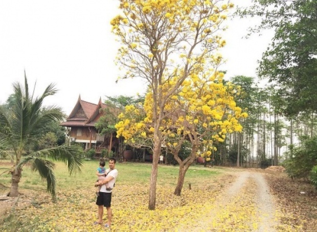 มีสุขสมชื่อ !! ไก่ มีสุข กับธรรมชาติบ้านไร่ ชีวิตแบบเรียบง่าย