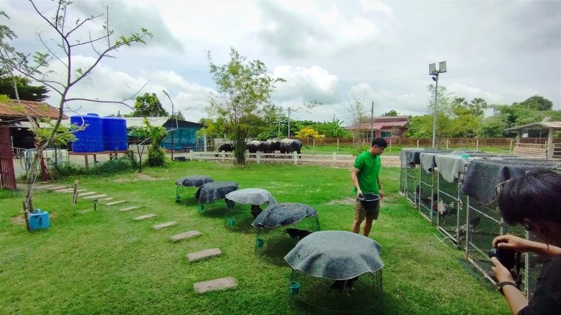 เปิดชีวิตล่าสุด พระเอกดัง หลังย้ายครอบครัวไปอยู่ ตจว.