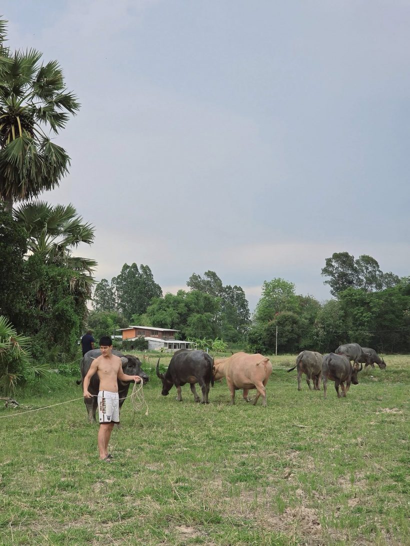 เปิดชีวิตล่าสุด พระเอกดัง หลังย้ายครอบครัวไปอยู่ ตจว.