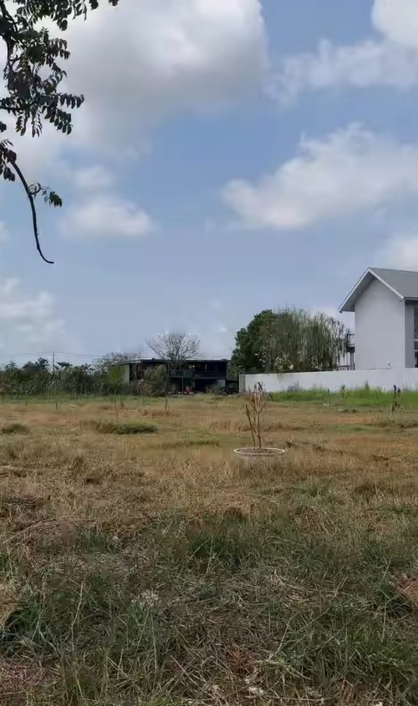 ปุ้มปุ้ย เผยภาพบ้านใหม่กำลังสร้าง ใหญ่กว่าที่คิด