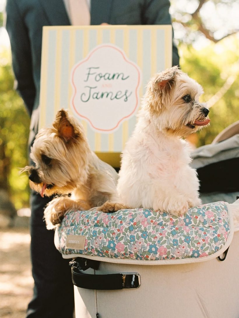 เจมส์จิ ฉลองครบรอบแต่งงานโฟม หวานเจี๊ยบไม่มีจืดจาง