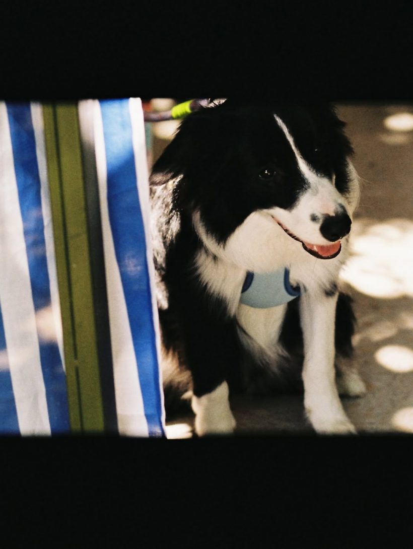 เจมส์จิ ฉลองครบรอบแต่งงานโฟม หวานเจี๊ยบไม่มีจืดจาง