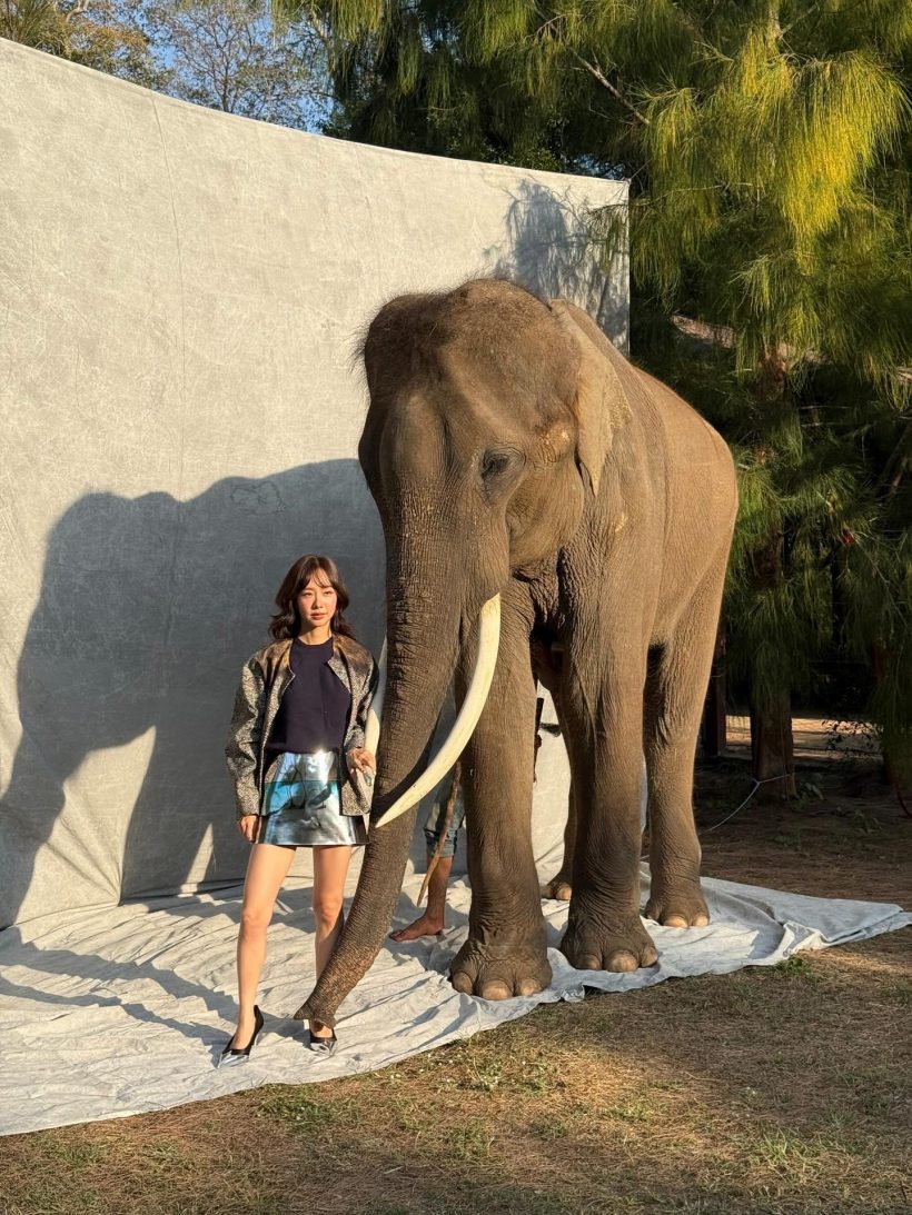 นางเอกตัวท็อปสรุปบทเรียนชีวิตปี 2025 ที่เติบโตขึ้น