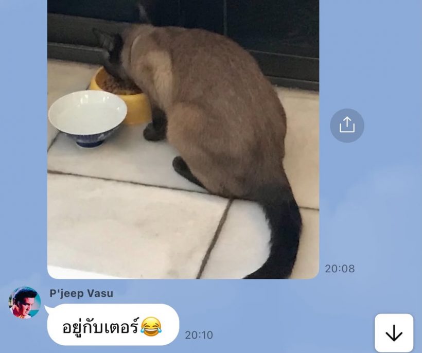 นางเอกดังแอดมิทด่วน แต่โชคดีสามีที่รัก เคียงข้างไม่ห่าง