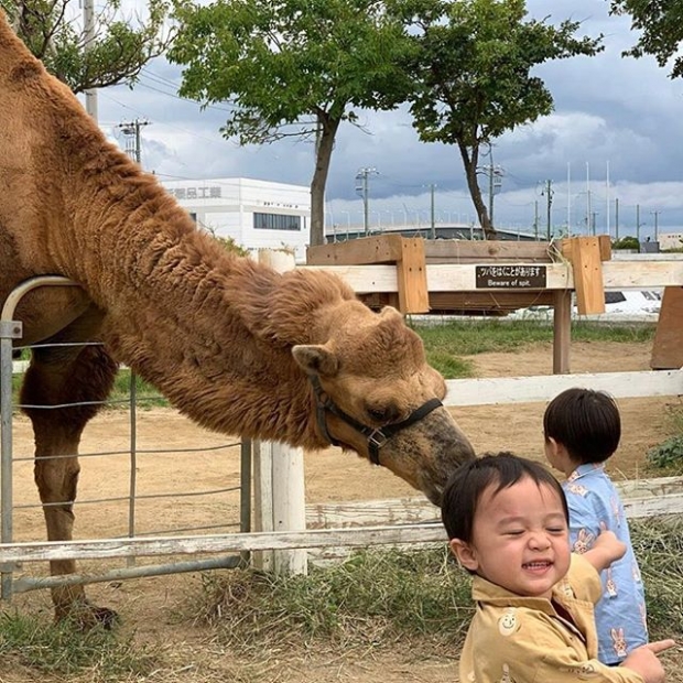 ยิ่งดูยิ่งหลงรัก! “น้องสายฟ้า” กับการเทคแคร์ “น้องพายุ” ในต่างแดนน่ารักอะไรแบบนี้ 