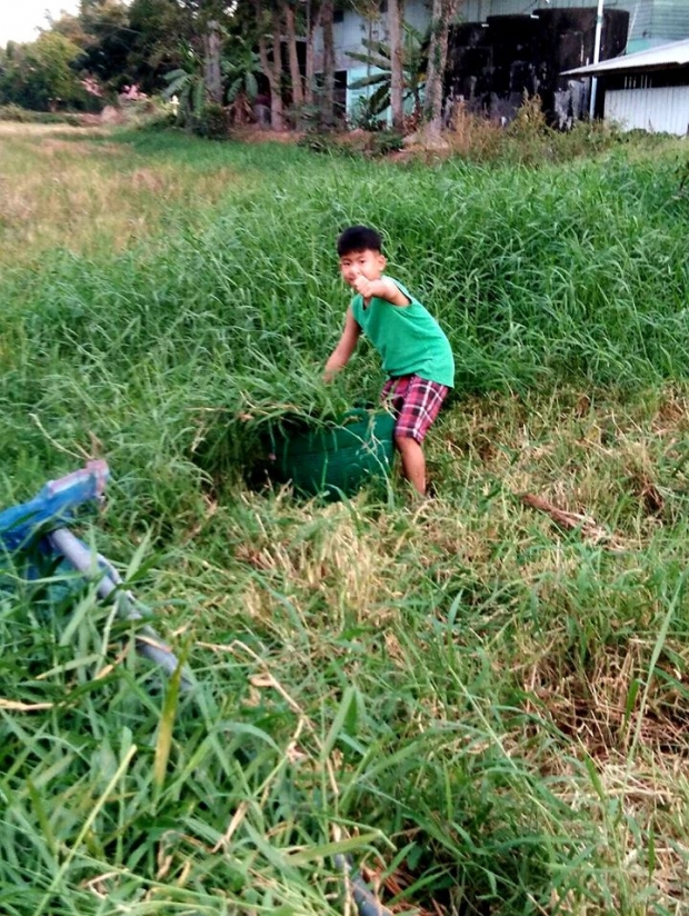 พ่อดีเด่น! น้ำ ระพีพัฒน์ เผย ลูกสาวเลี้ยงไก่ ลูกชายเลี้ยงควาย ลงมือตัดหญ้าเอง