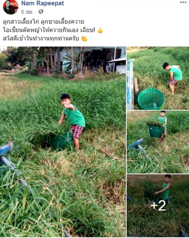 พ่อดีเด่น! น้ำ ระพีพัฒน์ เผย ลูกสาวเลี้ยงไก่ ลูกชายเลี้ยงควาย ลงมือตัดหญ้าเอง