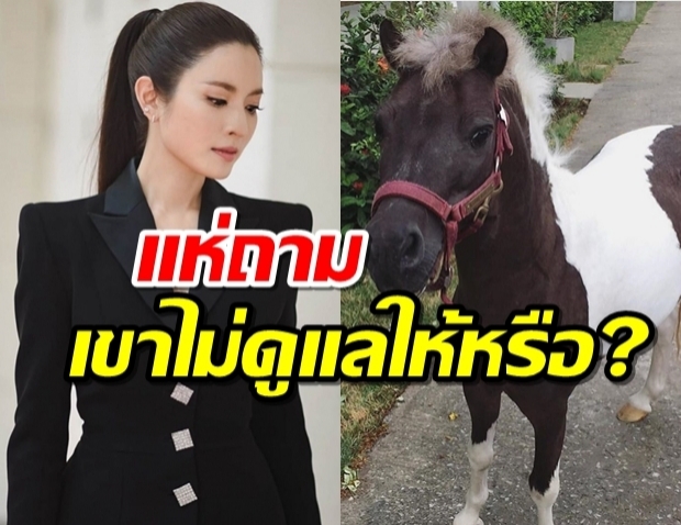 แอฟสุดอาลัย..โรคระบาดพรากม้าสุดรัก ที่โบนันซ่า ตายยกครัว 