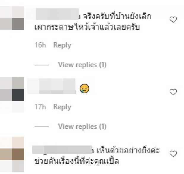 ฝากไว้ให้คิด..เปิ้ล ไอริณ จวกเละ หลังปชช.แห่จุดปะทันวัดไอ้ไข่