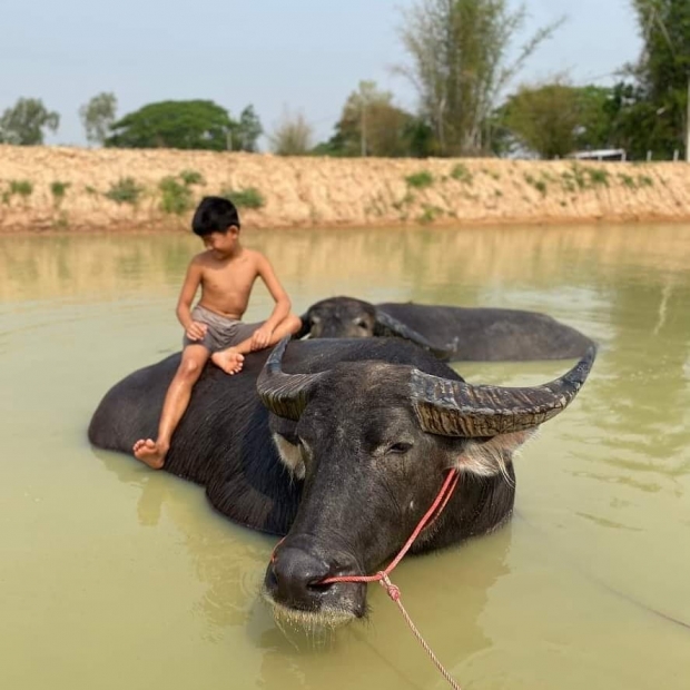  น้ำ รพีภัทร เลี้ยงลูกดีมาก สอนใช้ชีวิตนอนกลางดิน กินกลางทราย