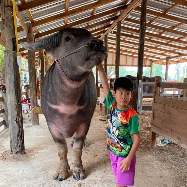  น้ำ รพีภัทร เลี้ยงลูกดีมาก สอนใช้ชีวิตนอนกลางดิน กินกลางทราย