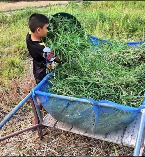  น้ำ รพีภัทร เลี้ยงลูกดีมาก สอนใช้ชีวิตนอนกลางดิน กินกลางทราย