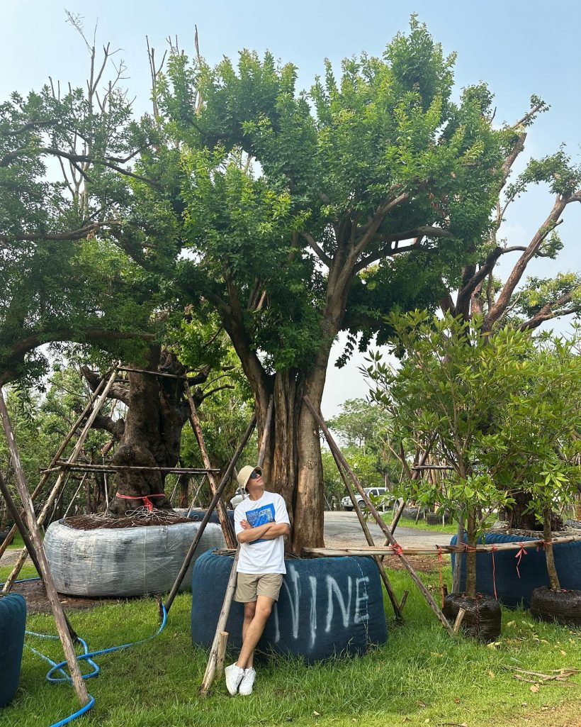 นาย ณภัทร บ้านใหม่ใกล้เสร็จเเล้ว เผยราคาต้นไม่ใหญ่เเพงจนอึ้ง! 