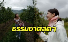 ส่องสวนหลังบ้าน!! “ญาญ่า อุรัสยา” ที่นอร์เวย์ บอกเลยเป็นธรรมชาติมาก น่าอยู่สุดๆ