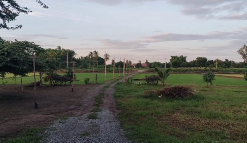 ภาพล่าสุด ดาราหนุ่ม ทิ้งวงการ ไปใช้ชีวิตสุดแฮปปี้ ที่บ้านเล็กปลายนา