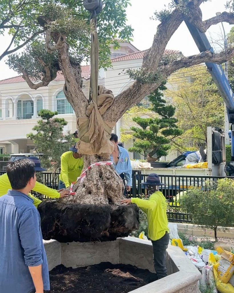 เปิดบ้านใหม่ คู่รักดาราดัง หรูตั้งแต่หน้าบ้าน สมฐานะตระกูลดัง