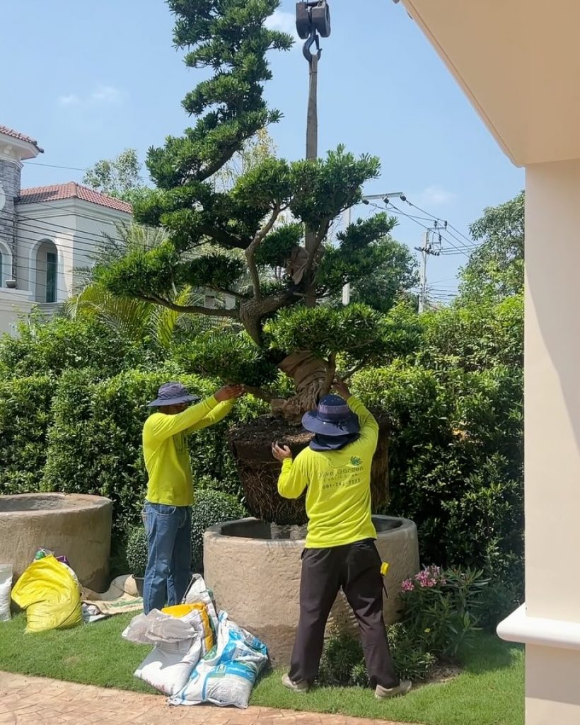 เปิดบ้านใหม่ คู่รักดาราดัง หรูตั้งแต่หน้าบ้าน สมฐานะตระกูลดัง