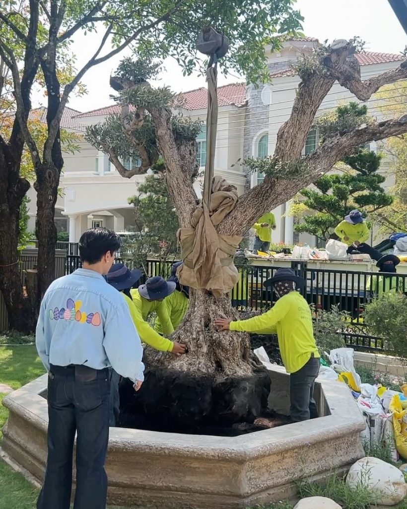 เปิดบ้านใหม่ คู่รักดาราดัง หรูตั้งแต่หน้าบ้าน สมฐานะตระกูลดัง