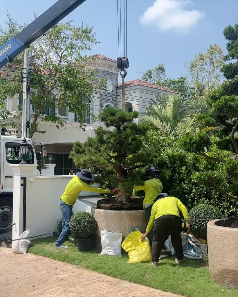 เปิดบ้านใหม่ คู่รักดาราดัง หรูตั้งแต่หน้าบ้าน สมฐานะตระกูลดัง