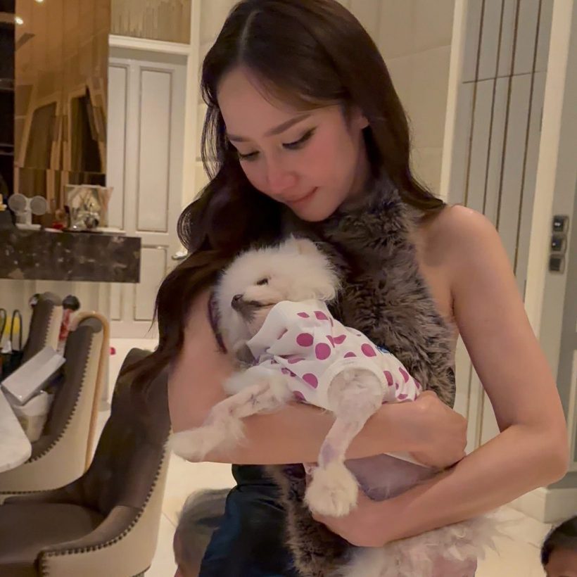 ดราม่าซะเเล้ว! อั้ม พัชราภา สุนัขตาย เเต่ชาวเน็ตคอมเมนต์เเบบนี้?