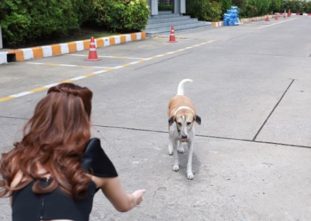 วินาทีสะเทือนใจ!!! “จั๊กจั่น” ลาหมาหน้าช่อง 7 พร้อมระบายความรู้สึกสุดเศร้า