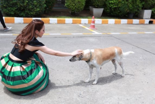 วินาทีสะเทือนใจ!!! “จั๊กจั่น” ลาหมาหน้าช่อง 7 พร้อมระบายความรู้สึกสุดเศร้า