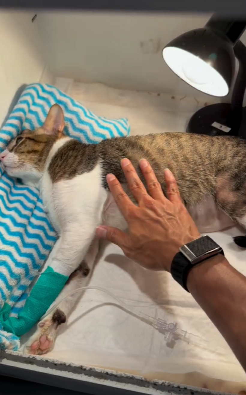 เกรท วรินทร อัปเดตอาการไข่ตุ๋น ทำคุณพ่อน้ำตาซึม!