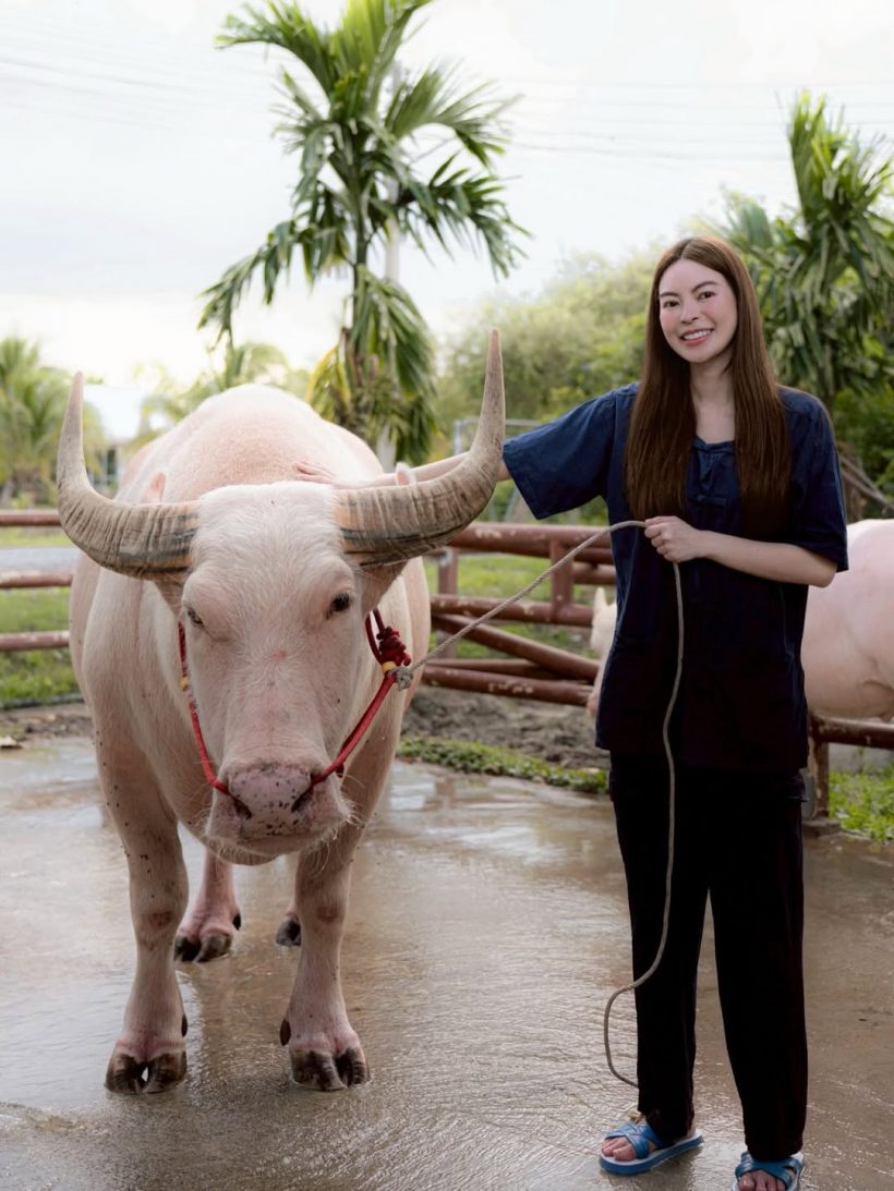 ทายาทตระกูลดัง สลัดลุคคุณหนู ใช้ชีวิตเรียบง่ายชิลๆ