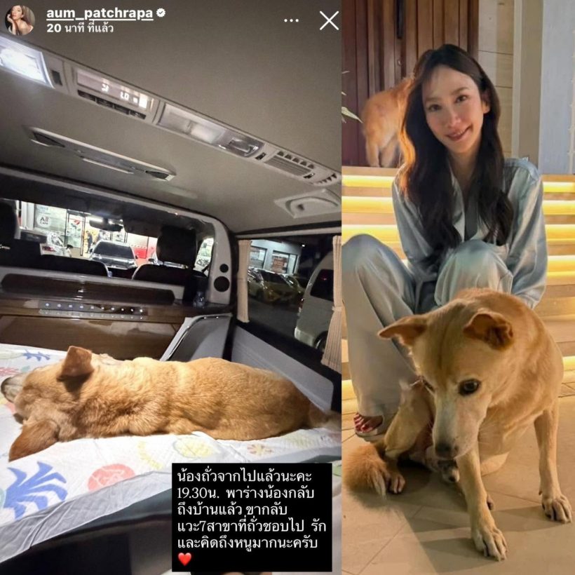เศร้า อั้ม พัชราภา แจ้งข่าวเศร้า น้องหมาเจ้าถั่วจากไปแล้ว
