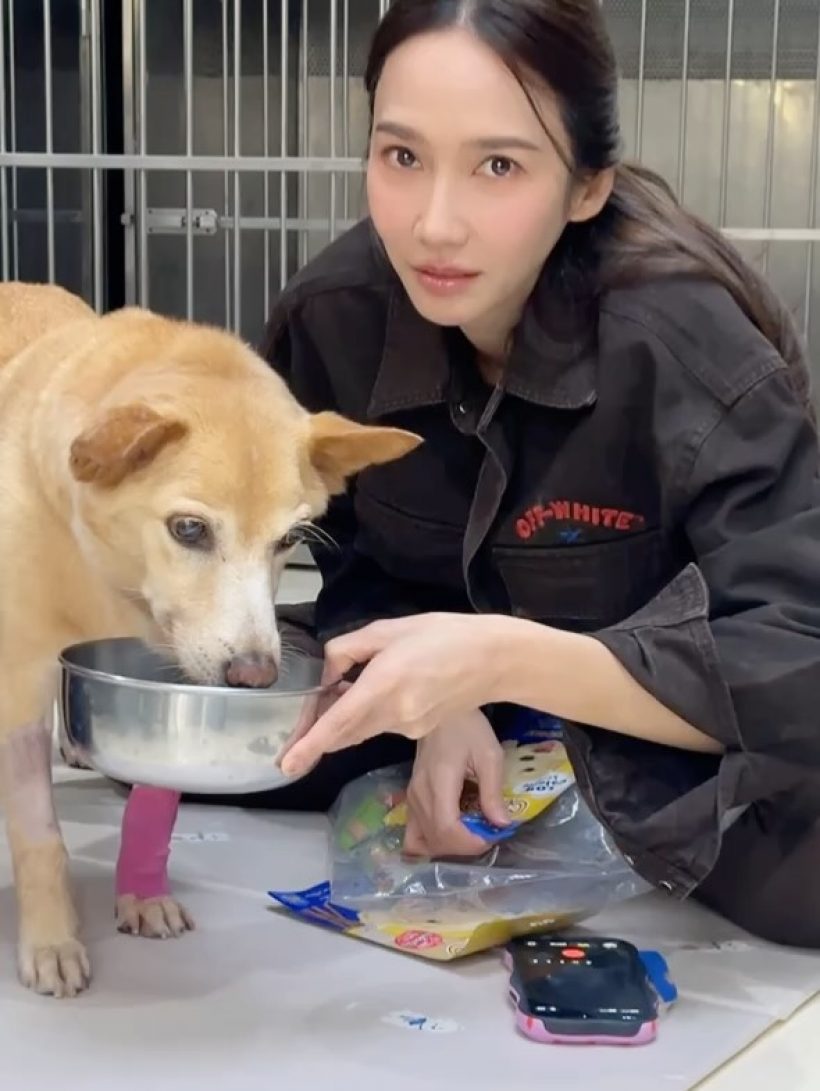 เศร้า อั้ม พัชราภา แจ้งข่าวเศร้า น้องหมาเจ้าถั่วจากไปแล้ว