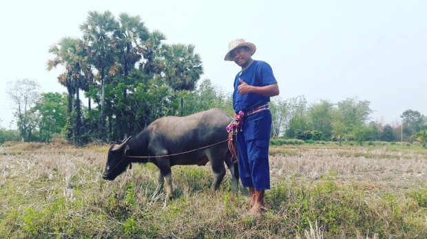 วันเดียวทำลายหมดเลย! ไมค์ ภิรมย์พร โอดโดนฝนกระหน่ำ น้ำท่วมพืชผลที่อุดรเสียหายยับ!