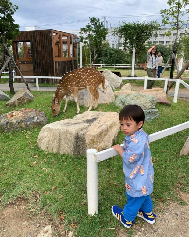 ฟินมากฮะ! สายฟ้า-พายุ เช็คอินบ้านคุณยาย เห็นแล้วมีความสุขสุดๆ 