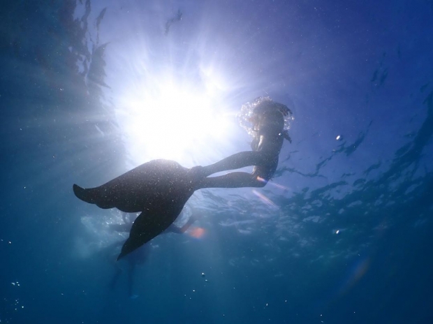แพนเค้ก อวดหุ่นเป๊ะ โชว์สกิลดำน้ำสุดพริ้ว สวยงามใต้สมุทร!