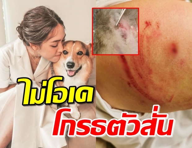 บังอาจมาก! มิน พีชญา ช็อก หลังพบน้องอ็อกโต้-พี่บัว เดินเลือดอาบเข้าบ้าน