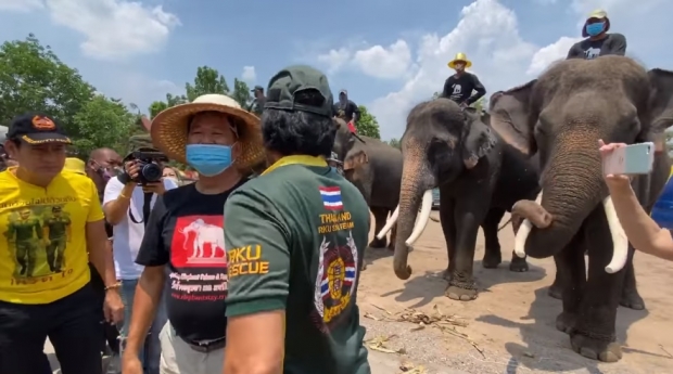 นาทีสุดซึ้ง! ฝูงช้างต้อนรับคำนับ บิณฑ์-ไทด์ หลังเข้าช่วยเหลือ (คลิป)