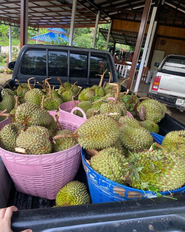 ชาคริต แทบร้องไห้โดนพายุซัดสวนอ่วม เสียหายเป็นคันรถ