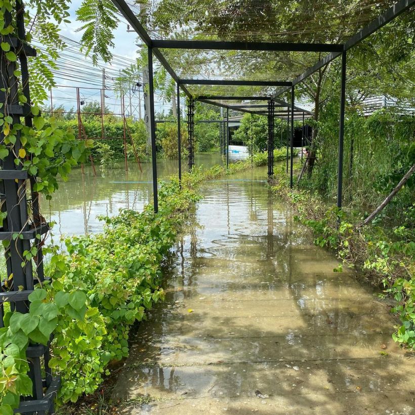 ไม่รอด! ปอนด์ สามีนุ้ย สุจิราเผยภาพน้ำทะลักโรงเรียนนานาชาติ