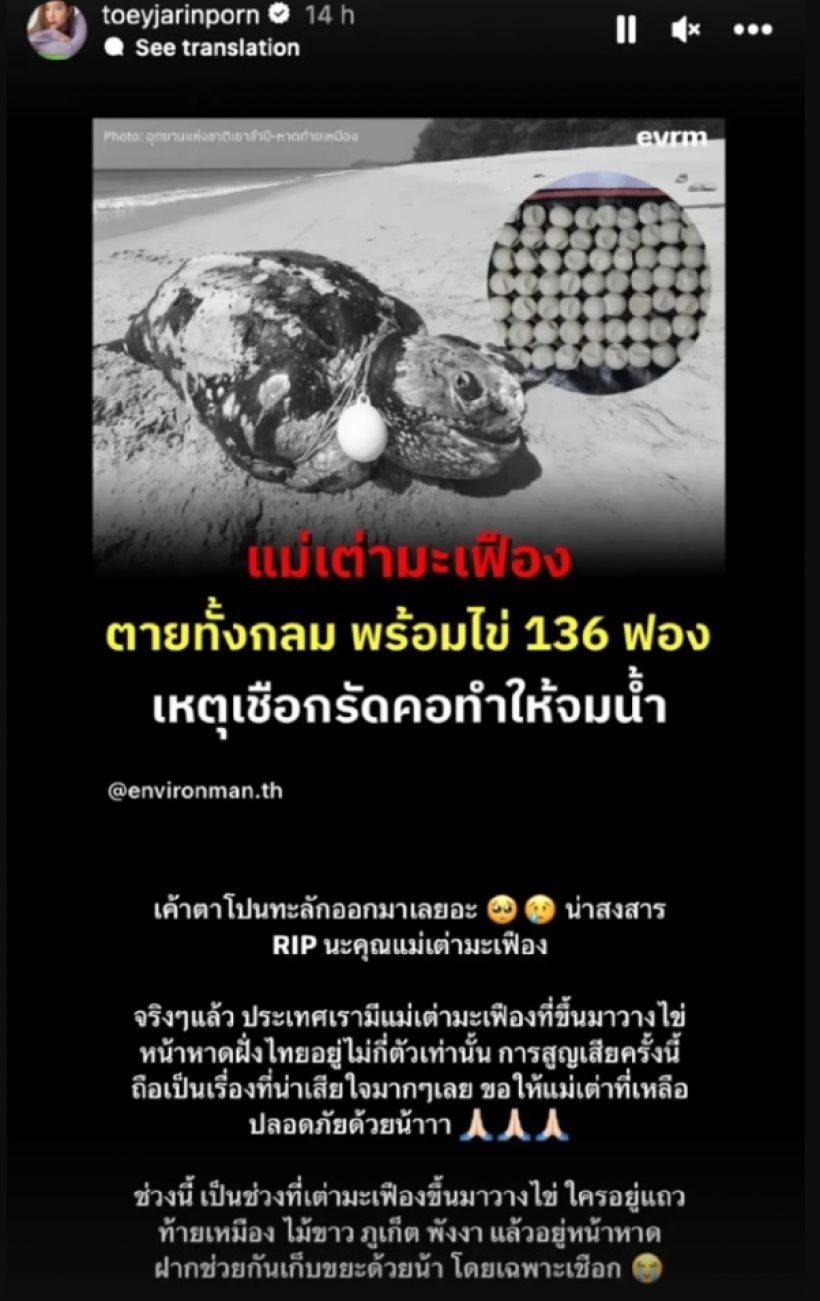 มิ้นท์ ภัทรศยา 