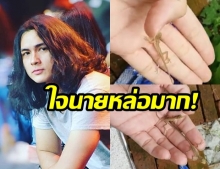 เอาอีกแล้ว! “แน็ก ชาลี” ช่วยเหลือ  “ลูกกิ้งก่ากำพร้าแม่” ชาวเน็ตถึงกับฮาลั่น 