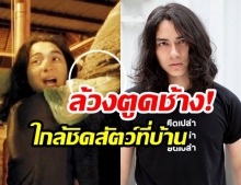 ส่องรีแอคชั่น! “แน็ก ชาลี” หลังต้องทำหน้าที่ “เป็นผู้ช่วยสัตวแพทย์” ดูแลเหล่าสัตว์