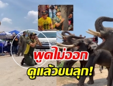 นาทีสุดซึ้ง! ฝูงช้างต้อนรับคำนับ บิณฑ์-ไทด์ หลังเข้าช่วยเหลือ (คลิป)